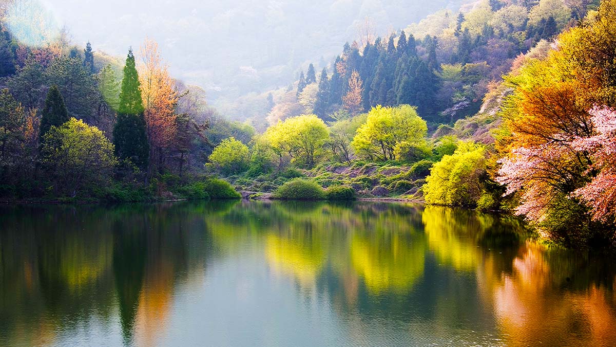 Seoryangji Misty Morning